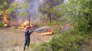 Slika /PU_VS/Pozari/požar u šumi.jpg